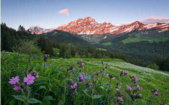 Komar Picturesque Switzerland 450 x 280 cm