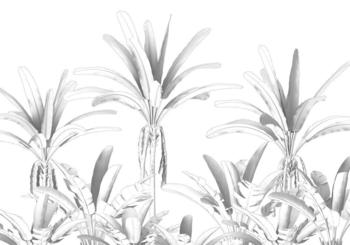 Komar Musa schwarz/weiß 400 x 280 cm