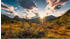 Komar Norwegische Herbstwelten 450 x 280 cm