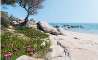 Komar Vliestapete "Digitaldruck Vlies - Mediterrane Tr&auml;ume - Gr&ouml;&szlig;e 450 x 280 cm"