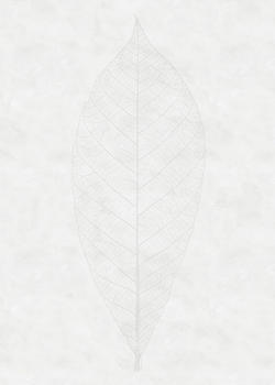 Komar Decent Leaf weiß/grau 200 x 280 cm