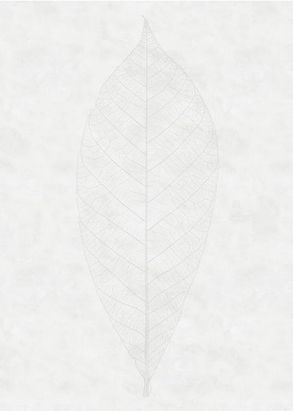 Komar Decent Leaf weiß/grau 200 x 280 cm