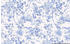 Komar Charming Bloom blau/weiß 300 x 280 cm