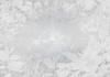 Komar Flora silber, grau, weiß 400 x 280 cm
