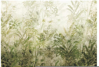 Komar Wilderness grün/weiß 400 x 280 cm