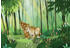 Komar Lion King Love 200 x 280 cm