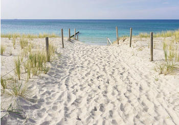 Consalnet Strand Meer Sand 1,525 x 1,04 m (10387)