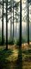 Papermoon Fototapete »Forest - Türtapete«, matt