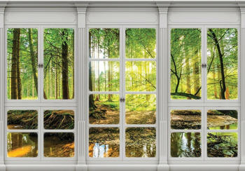 Consalnet Sonnenwald Fensterblick