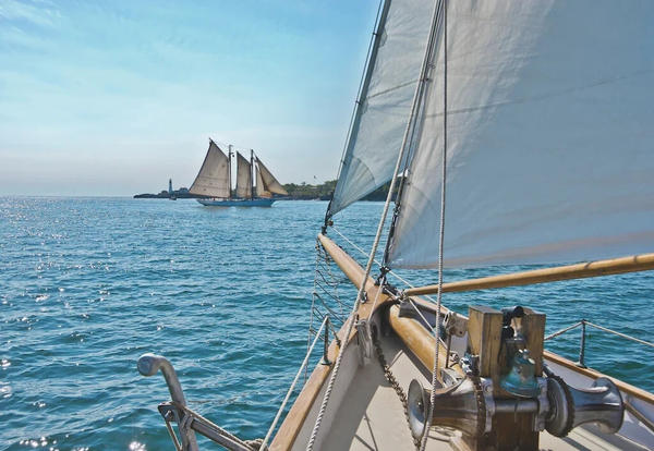 Komar Sailing 368 x 254 cm