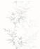 Marburg Tapeten floral weiß/grau (32341064-0)