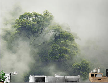 Artgeist Foggy Amazon 245x175 cm