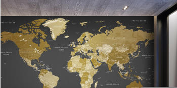 Artgeist World Map: Modern Geography 441x315 cm