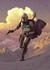 Komar Mandalorian Escape 200 x 280 cm (IADX4-020)