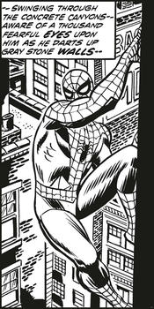 Komar Spider-Man Cl Climb 100 x 200 cm (IADX2-085)