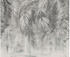 Komar Natural Nuances 3-tlg. 300 x 250 cm (IF3-042)