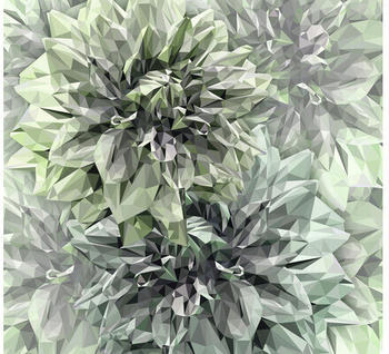 Komar INX6-036 Emerald Flowers 6-tlg. 300 x 280 cm (INX6-036)