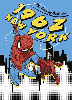 Komar Spider-Man 1962 200 x 280 cm (IADX4-081)