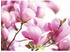PaperMoon Pink Magnolia 7-tlg. 350 x 260 cm