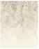 Komar Herbarium (200 x 250 cm)