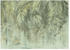 Komar Palm Fronds (350 x 250 cm)