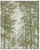 Komar Vliestapete »Fading Forest«, 200x250 cm (Breite x Höhe), Vliestapete, 100 cm