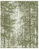 Komar Infinity 2 Fading Forest (200 x 250 cm)