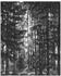 Komar Infinity 2 Lustres Lapland (200 x 250 cm)