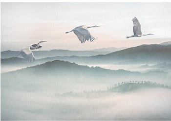 Komar Ink Mystic Cranes (8 -tlg., 400 x 280 cm)