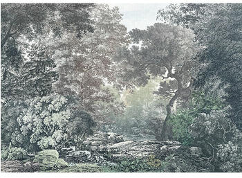 Komar Raw Fairytale Forest (4 -tlg., 400 x 280 cm)