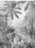 Komar Lac Tropical Black & White schwarz/weiß 200 x 270 cm