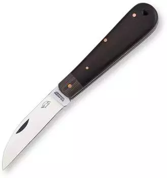 Otter Bergmann