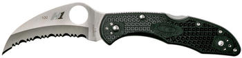 Spyderco Tasman Salt 2 (black)