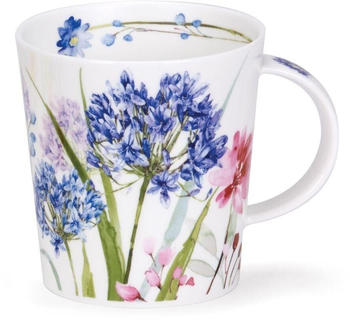 Dunoon Wild Garden by Lomond Agapanthus