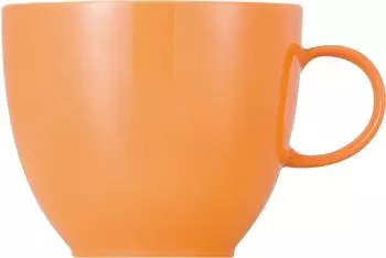 Thomas Sunny Day Cappuccinountertasse 16,5 cm