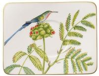 Villeroy & Boch Signature Amazonia Kaffeeuntertasse