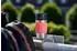 Emsa Travel Mug Compact koralle 0,3l