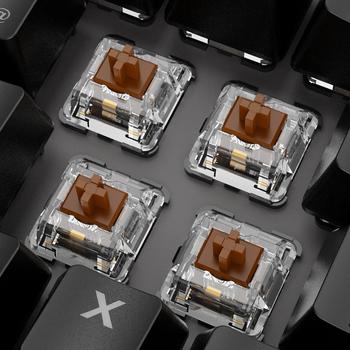 Sharkoon SKILLER SGK20 (Huano Brown) – Ein visuelles Spektakel