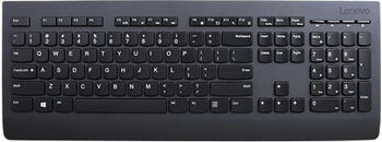 Lenovo Professional 4X30 (4X30H56868) (ES)