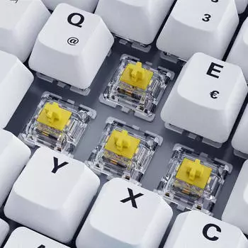 Sharkoon SKILLER SGK50 S3 PBT (Gateron G Pro 3.0 Yellow) (DE) – RGB-Hintergrundbeleuchtung und Makroprogrammierung