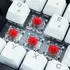 Sharkoon SKILLER SGK50 S3 White (Gateron Red) (DE)