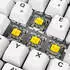 Sharkoon SKILLER SGK50 S2 PBT (Gateron G Pro 3.0 Yellow) (DE) White