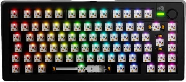 Glorious Gaming GMMK 3 Barebones Custom Gaming Keyboard, full size 100% mechanical keyboard, modular gaskets, hotswappable MX 5-pole, sound dampening foam, aluminum switch plate, ANSI, Black