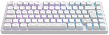 Dark Project ALU81A Terra Nova White (Nordic)