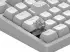 Dark Project ALU81A Terra Nova White (Nordic)
