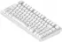 Dark Project ALU81A Terra Nova White (Nordic)