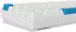 Sharkoon SKILLER SGK50 S4 Gen2 PBT White (DE)