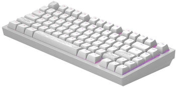 Dark Project ALU81A Terra Nostra White (US) – Mechanische Schalter mit Hot-Swap-Funktion