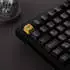 AKKO Black & Gold 5108B Plus (V3 Cream Blue Pro Switch) (DE)