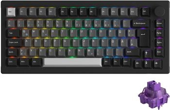 AKKO 5075B Plus Black & Silver (DE) (V3 Lavendar Purple)